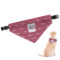 North Texas Airstream Community Dog Bandana