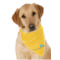 Design Your Own Dog Bandana Scarf