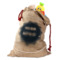 Logo Santa Sack