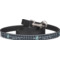 Design Your Own Dog Leash