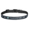 Design Your Own Dog Collar