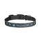 Design Your Own Dog Collar - Large